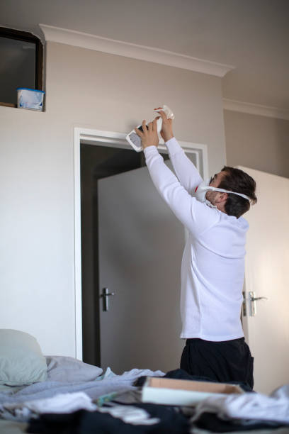 Environmental Consulting for Mold Prevention in Valley Mills, TX
